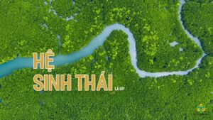Hệ sinh thái trên trái đất