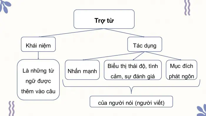 Phân loại trợ từ trong tiếng Việt và ví dụ