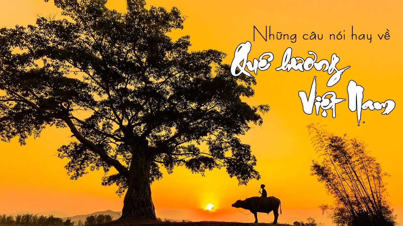 99+STT về quê hương, những câu nói về nỗi nhớ quê hương da diết