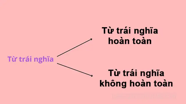 Từ trái nghĩa là gì?