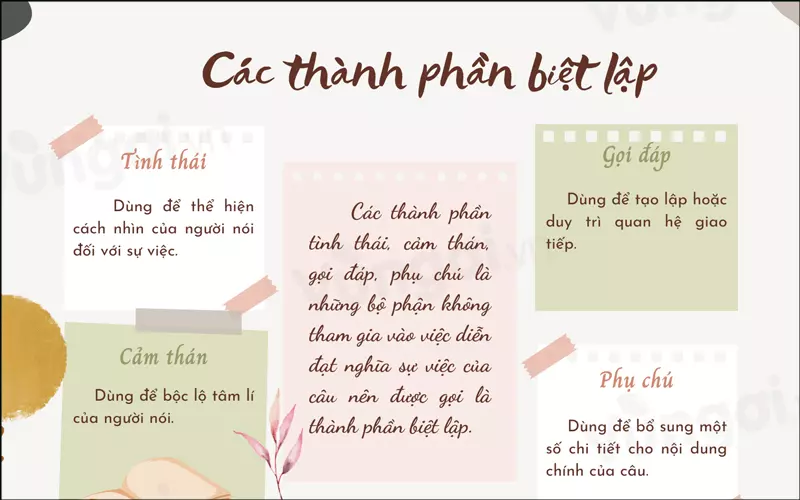 Các loại thành phần biệt lập