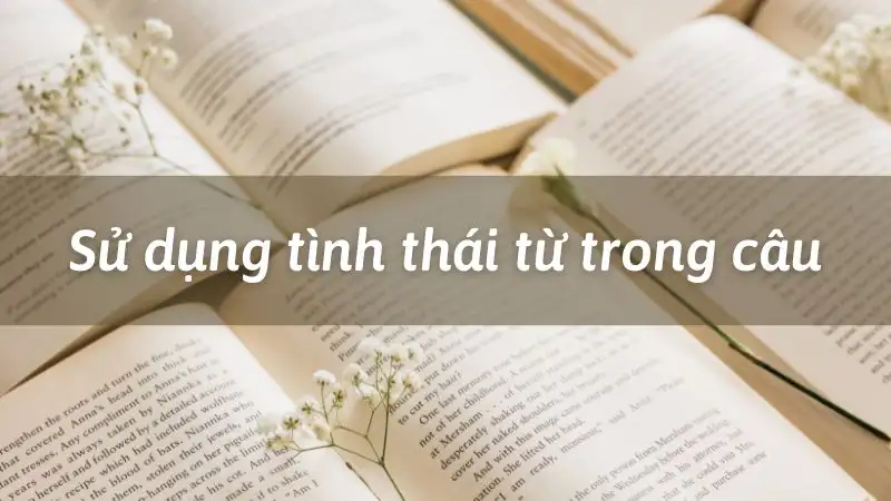 Cách sử dụng tình thái từ trong câu Tiếng Việt
