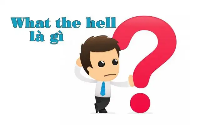 Ý nghĩa và cách sử dụng của cum từ what the hell