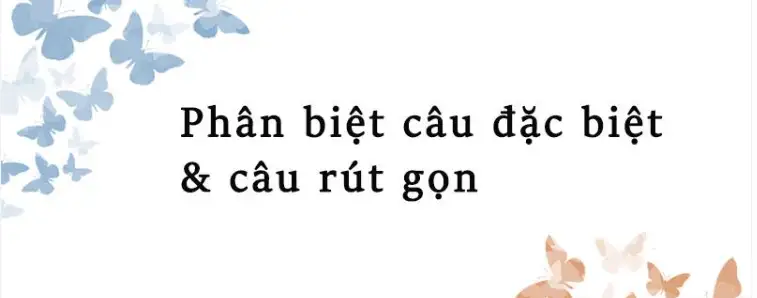 Tìm hiểu sự khác nhau về câu đặc biệt và câu rút gọn