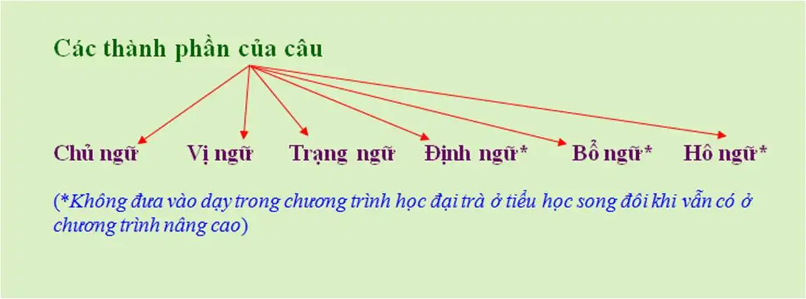 Tìm hiểu các thành phần chính trong câu