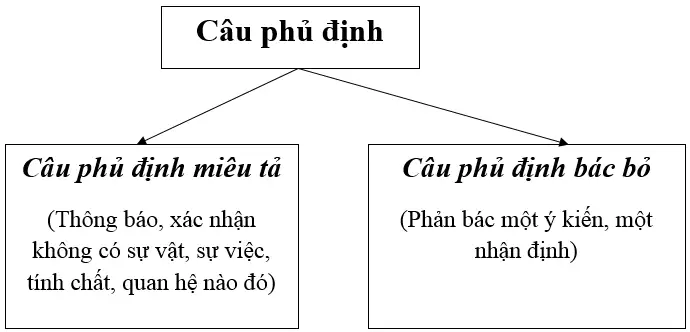 Những tính năng chính câu phủ định