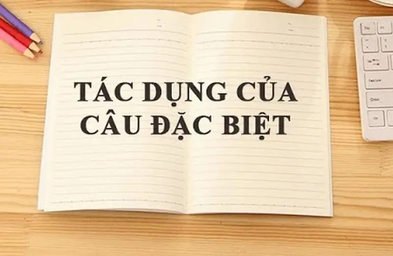 Những tác dụng đặc biệt khi sử dụng câu đặc biệt