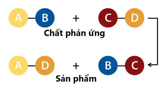 Tìm hiểu phương trình phản ứng trao đổi