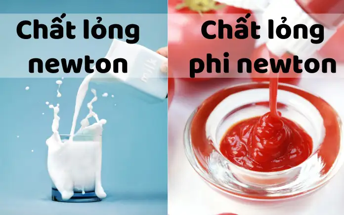 Tìm hiểu độ nhớt chất lỏng Newton và phi Newton