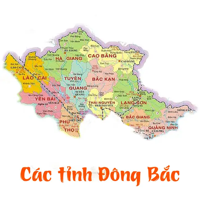 Khái quát vùng núi Đông Bắc Việt Nam, địa hình và đặc điểm tự nhiên