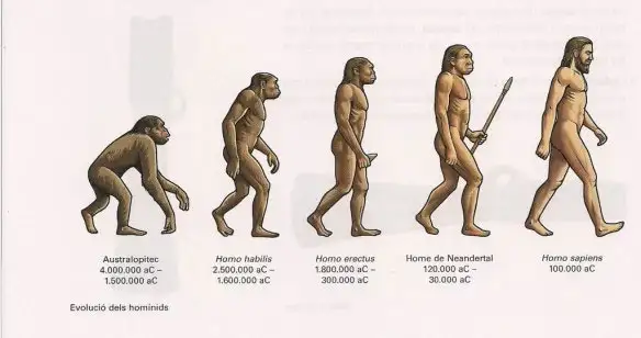 Hình minh họa người tinh khôn (Homo sapiens) thời tiền sử