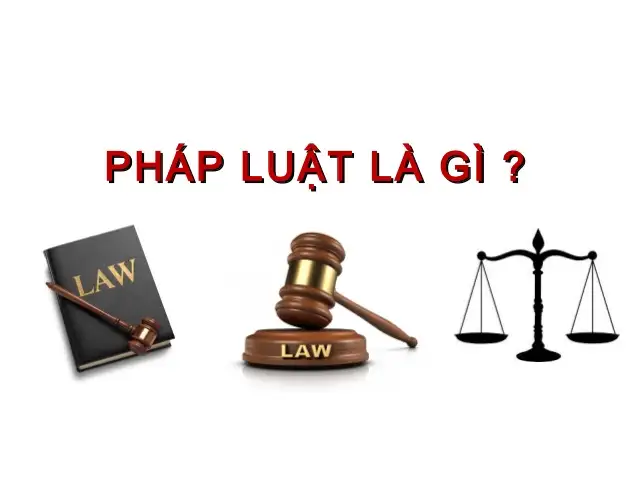 Hình minh họa biểu tượng pháp luật – cân bằng và bảo vệ quyền lợi công dân.
