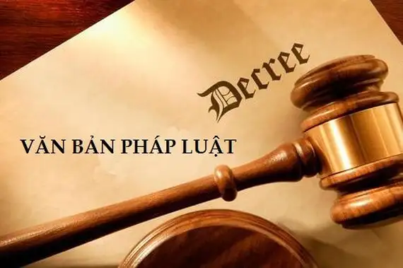 Khái niệm pháp luật, hệ thống quy tắc, bảo vệ quyền lợi công dân.