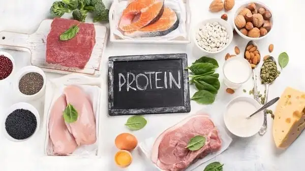Bản chất đa dạng của protein, cấu trúc và chức năng sinh học